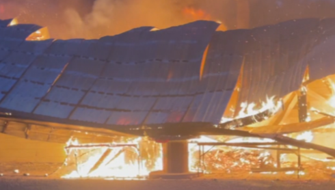 Oakland Tree Farm makes full return after shop burned down in 2024