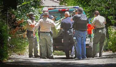 Use tranquilizer darts – San Diego Union-Tribune