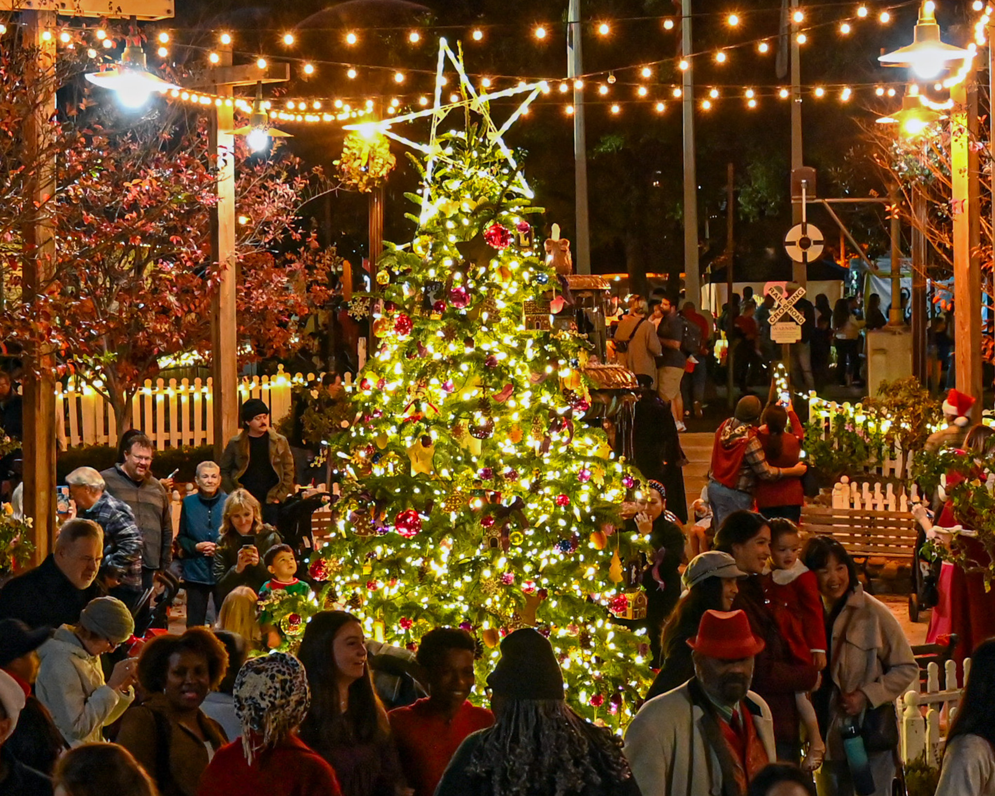 The relocation of the Poway Christmas tree from the porch...