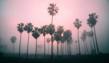 SoCal Just Had Its Wettest Christmas in Half A Century