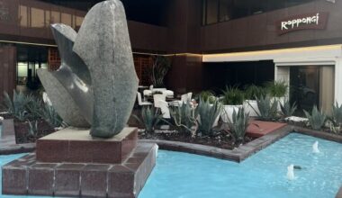 Roppongi returns; Mexican restaurant and ‘micro-bakery’ debut – San Diego Union-Tribune