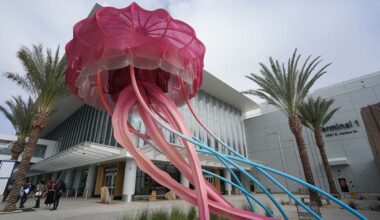 A movement for the arts downtown in 2025, as fees, immigration hotly debated