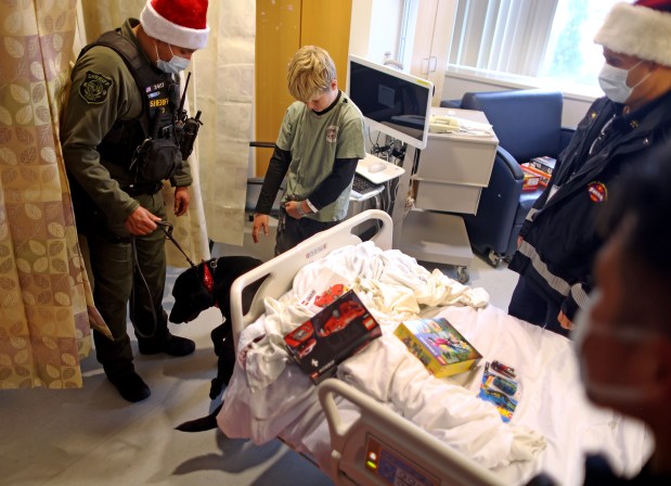 A pediatric patient visits with a dog from the Santa Clara County Sheriff's Department K-9 Unit in the children's wing of the Santa Clara Valley Medical Center on Wednesday, Dec. 17, 2025, in San Jose, Calif. The county sheriff and fire departments collected hundreds of toys from the community to be distributed at the hospital and other sites throughout the county. (Aric Crabb/Bay Area News Group)
