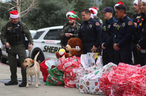 Members of the Santa Clara County Sheriff's Department and Santa Clara County Fire Department gather bags of toys to deliver in the children's wing of the Santa Clara Valley Medical Center on Wednesday, Dec. 17, 2025, in San Jose, Calif. The two departments collected hundreds of toys from the community to be distributed at the hospital and other sites throughout the county. (Aric Crabb/Bay Area News Group)