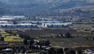 Celebrate Noon Year’s Eve at the Cupertino Library – East Bay Times