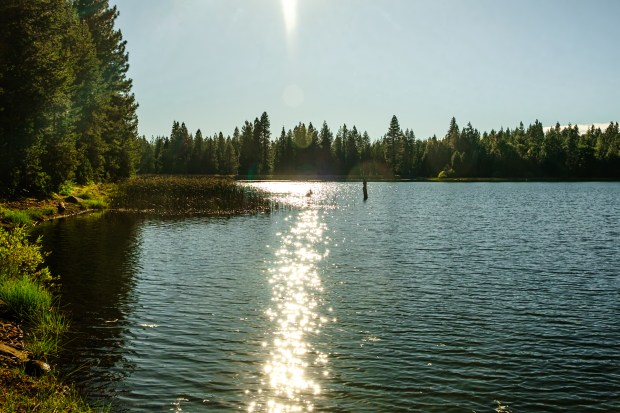 Lake Putt, near Emigrant Gap in Northern California, is part of a property being transformed for public access by the 40 Acre Conservation League. (Courtesy Wenzelhaus)