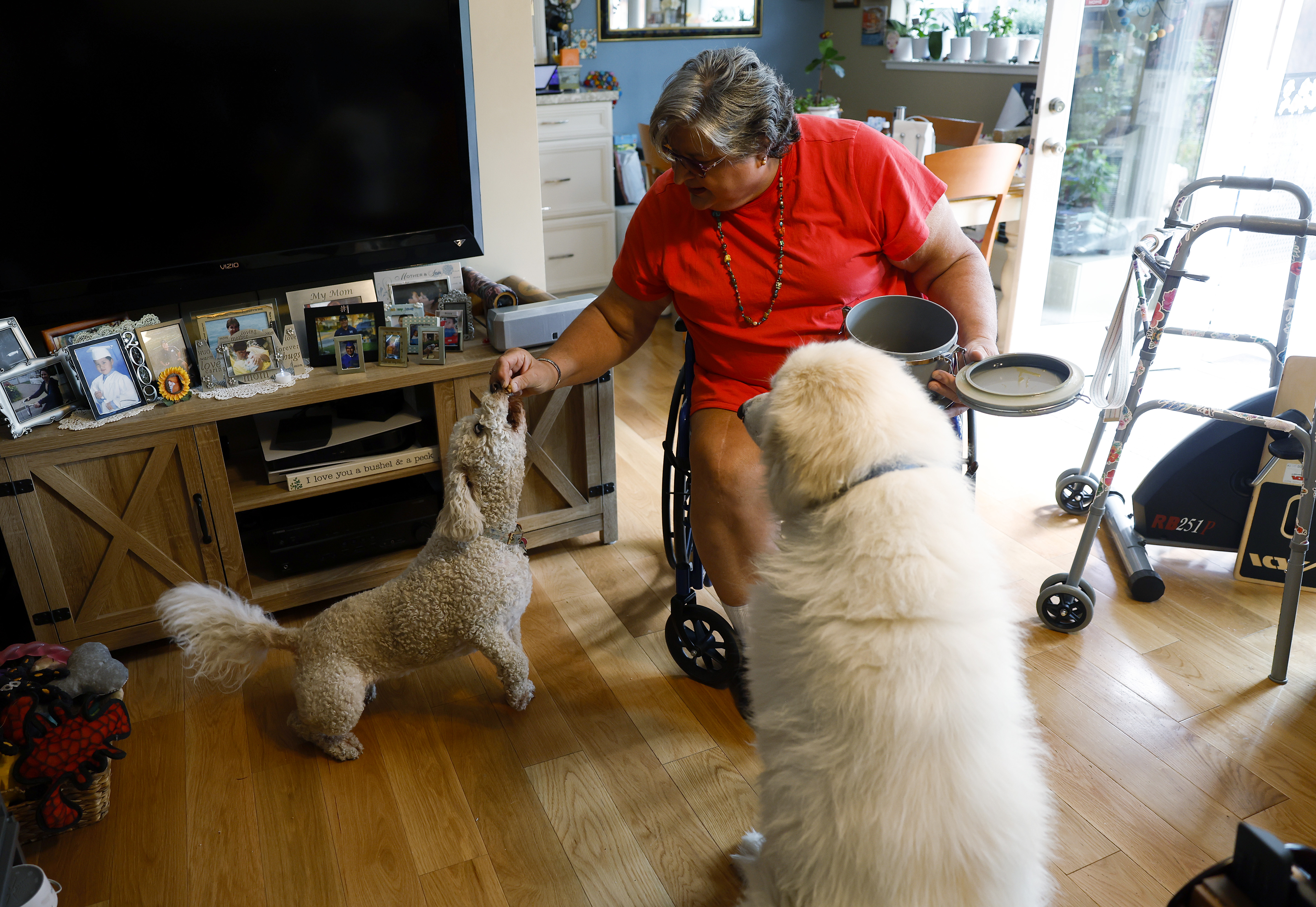 Marisa Carlini gives Esha, a 4-year-old Bernedoodle, a treat next...