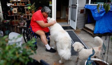 Heart of the Valley provides valuable assistance to seniors in need