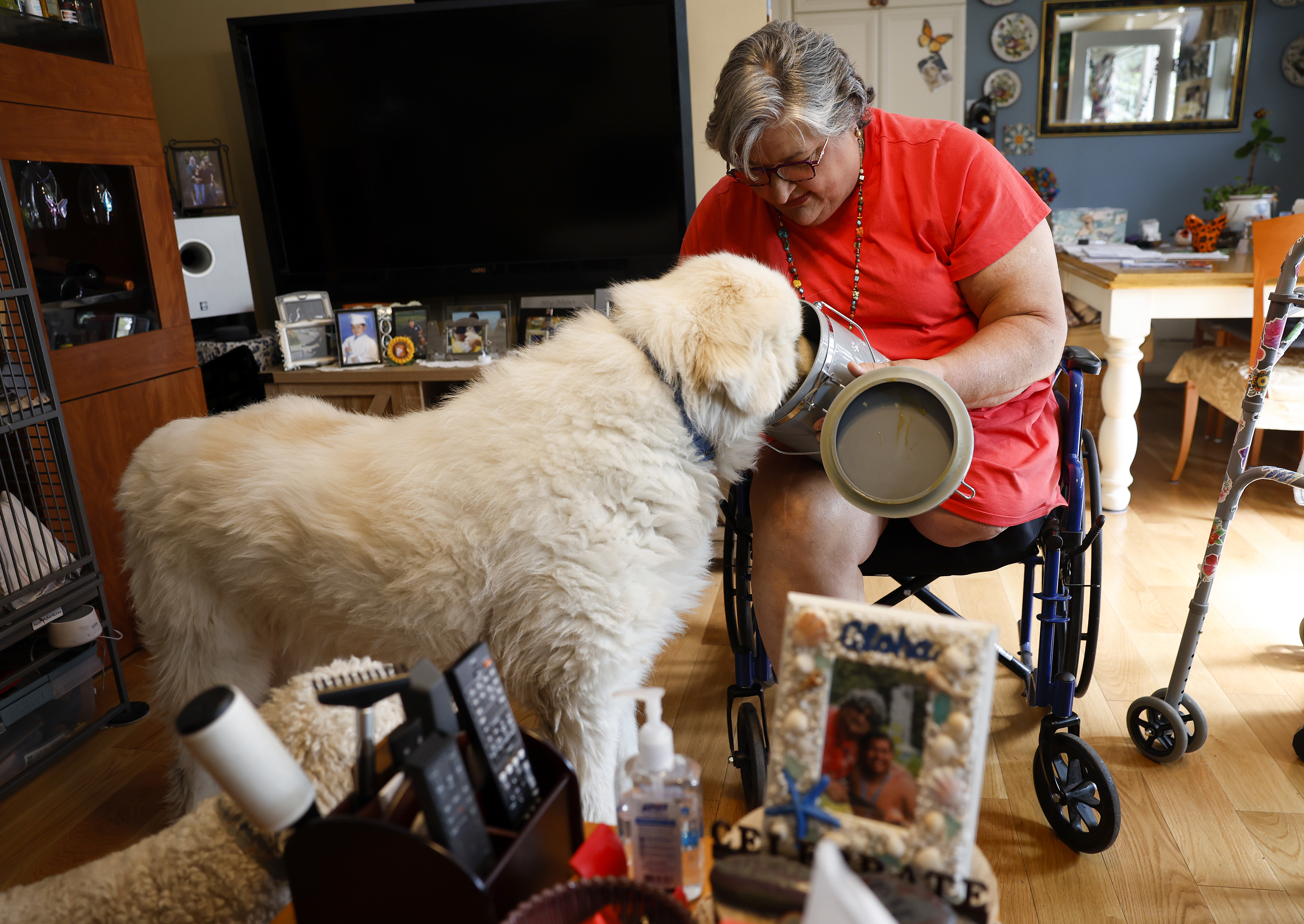 Marisa Carlini gives Lilo, a 6-year-old Great Pyrenees, a treat...