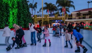 Dec. 19-21 – San Diego Union-Tribune