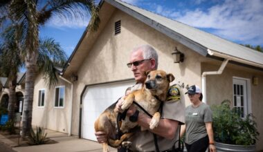 San Diego County animal control struggles to reverse soaring turnover