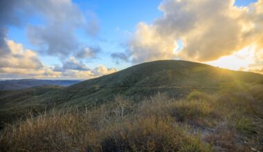 Escondido Creek Conservancy purchases two properties – San Diego Union-Tribune