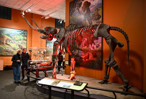 Visitors enjoy Nat at Night at the San Diego Natural History Museum Dec.19, 2025 in San Diego, Calif. (Photo by Denis Poroy)