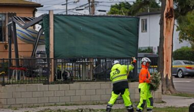 Man killed by fallen tree in City Heights amid strong Christmas Eve winds – San Diego Union-Tribune
