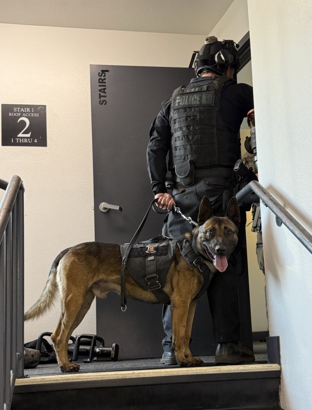 San Diego police Officer Brendon Johanson and his 4-year-old canine, Bowie, are photographed moments before Bowie was allegedly strangled by a barricaded suspect near Second and West Island avenues in Gaslamp Quarter on December 16, 2025. (Photos courtesy of Abby Langley, San Diego Police Department)