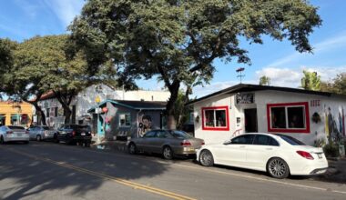 4 places to shop for gifts in South Park