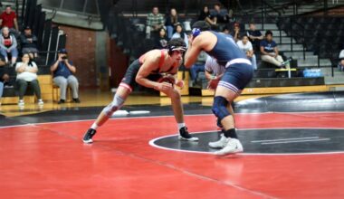 Palomar College sending wrestlers to state meet