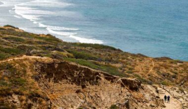 Start 2026 with a guided hike in one of California’s state parks – San Diego Union-Tribune