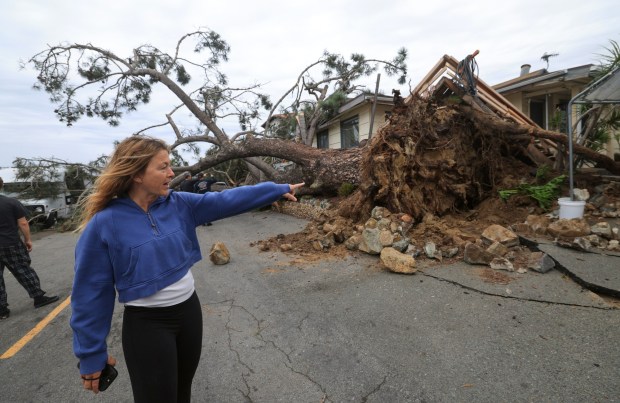 ENCINITAS, CA - December 24, 2025: Shane Carpenter shows where she was when a large Torrey pine tree fell over due to strong winds at the home she and her husband rent on Oxford Avenue in Cardiff-by-the-Sea on Wednesday, December 24, 2025. The deck in front of the home was completely up ended by the tree's roots and a car parked on the street was damaged. No one was injured. (Hayne Palmour IV / For The San Diego Union-Tribune)