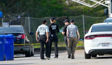 Suspect in South Bay killing a 'person of interest' in human remains case