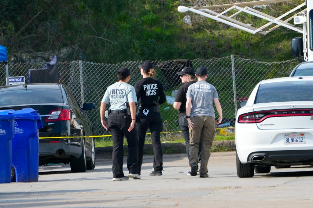 Suspect in South Bay killing a 'person of interest' in human remains case