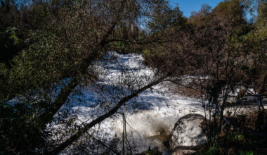 Let the Signature Gathering Begin: Coalition Pitches Sales Tax for Border Sewage, Child Care