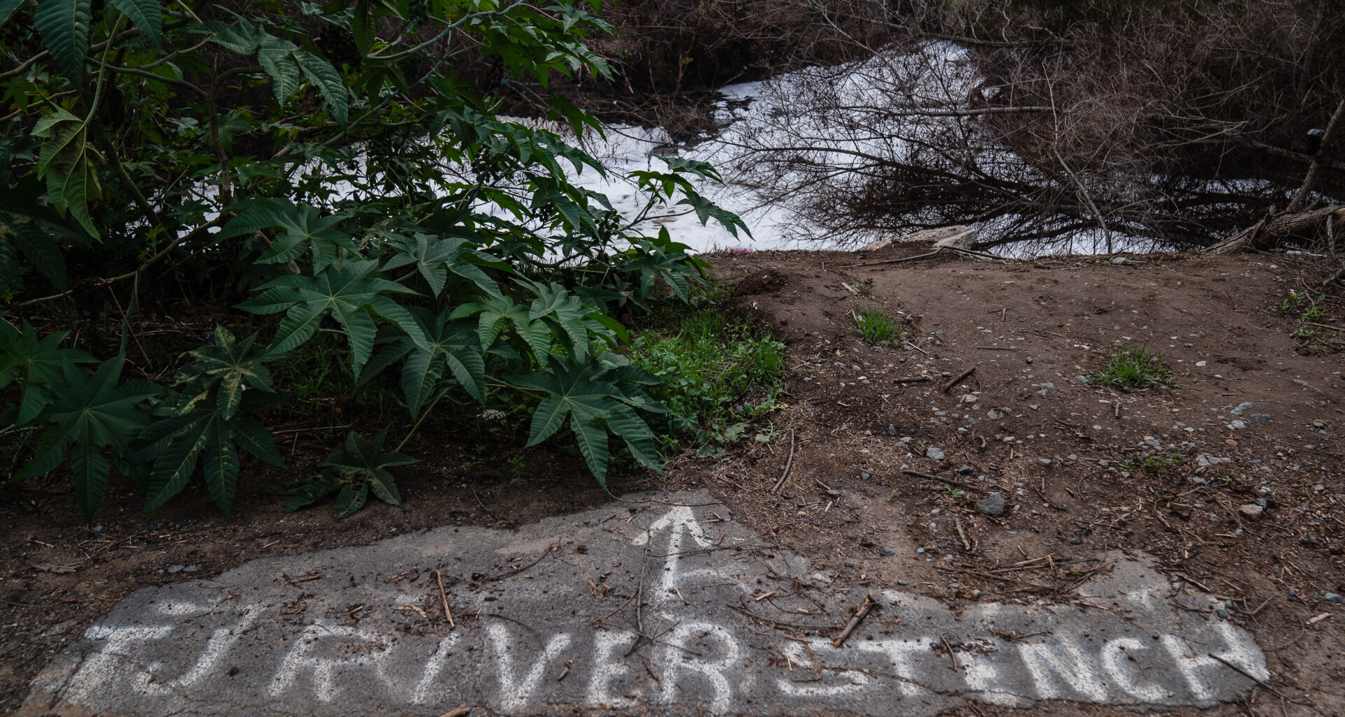 California Lawmakers Take on Tijuana River Sewage Crisis
