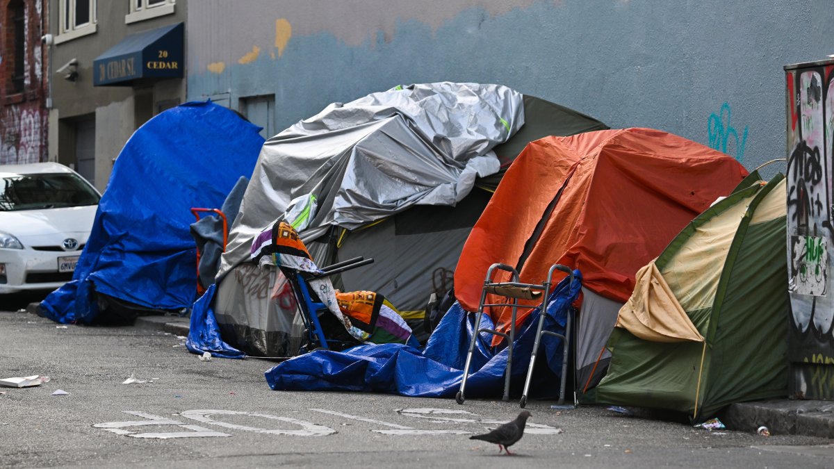 Homelessness no longer a top issue for Bay Area residents – NBC Bay Area
