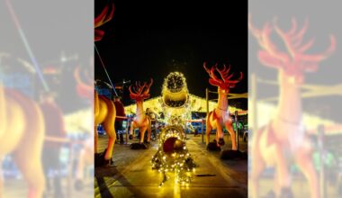 From Jingle Jets to Jungle Bells – San Diego Union-Tribune