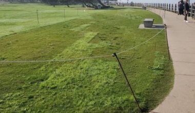New grass unveiled in La Jolla’s Scripps Park – San Diego Union-Tribune