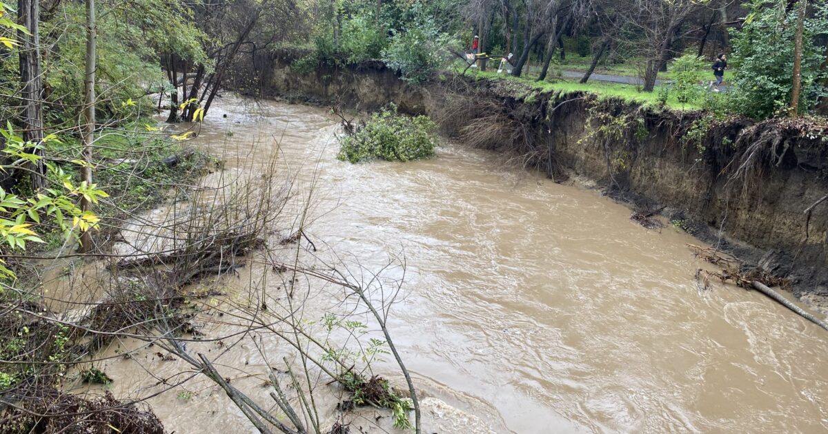 Mountain View and school district aim to fix crumbling creek banks