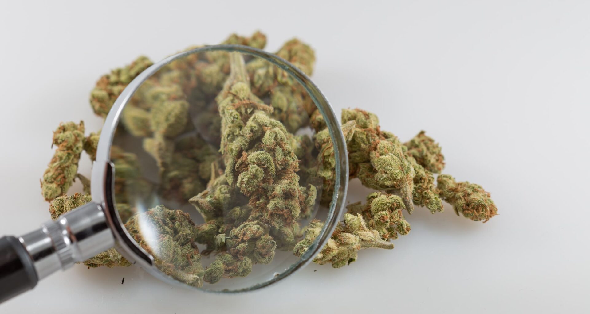 California Officials Award $30 Million In Marijuana Revenue To Support Research On THC Drinks, Terpenes And Tribal Cannabis Sales