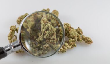 California Officials Award $30 Million In Marijuana Revenue To Support Research On THC Drinks, Terpenes And Tribal Cannabis Sales