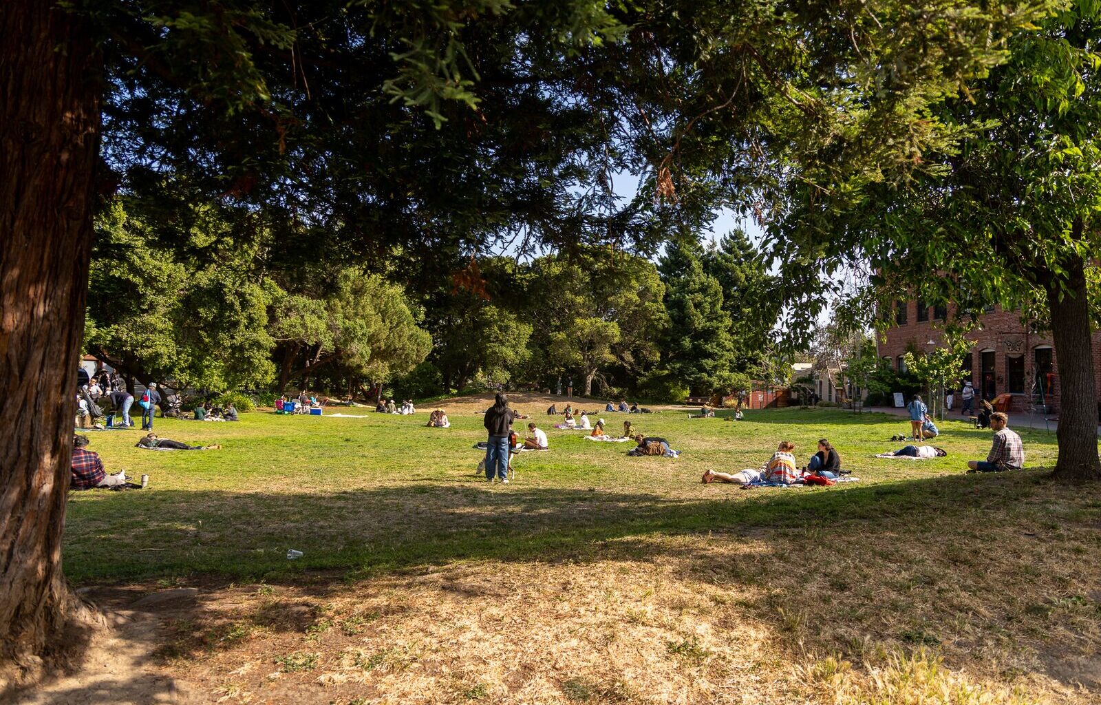 Strawberry Creek Park is West Berkeley’s hidden gem
