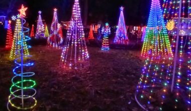 Holiday festivities happening in Oakland County – The Oakland Press