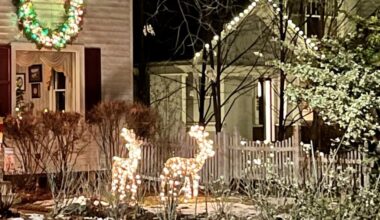 Oakland County residents celebrate a light-filled Christmas – The Oakland Press