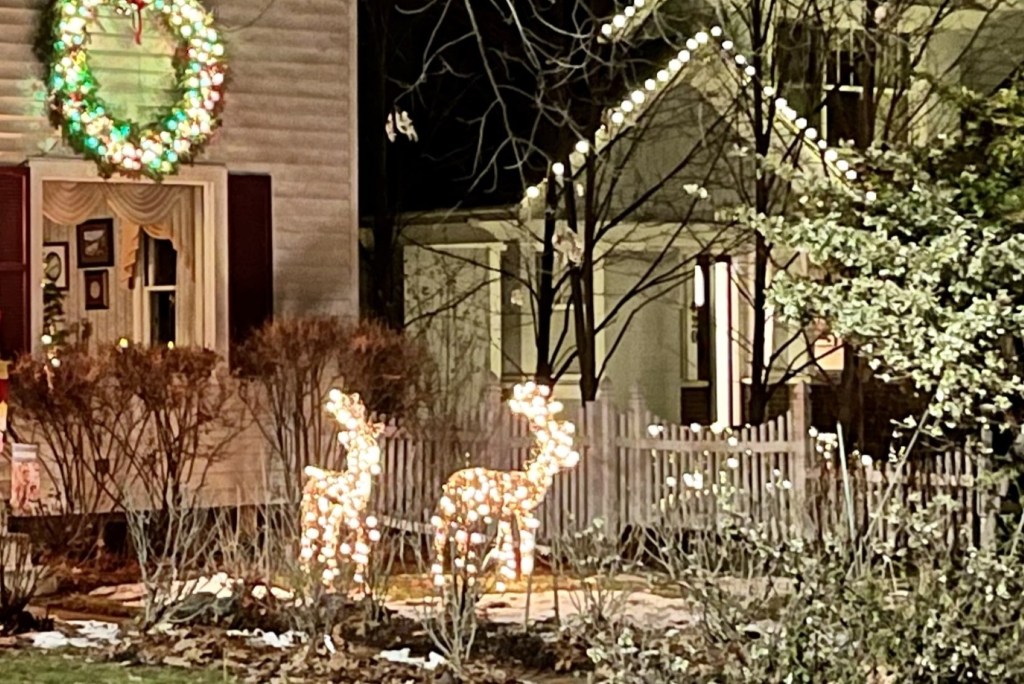 Oakland County residents celebrate a light-filled Christmas – The Oakland Press