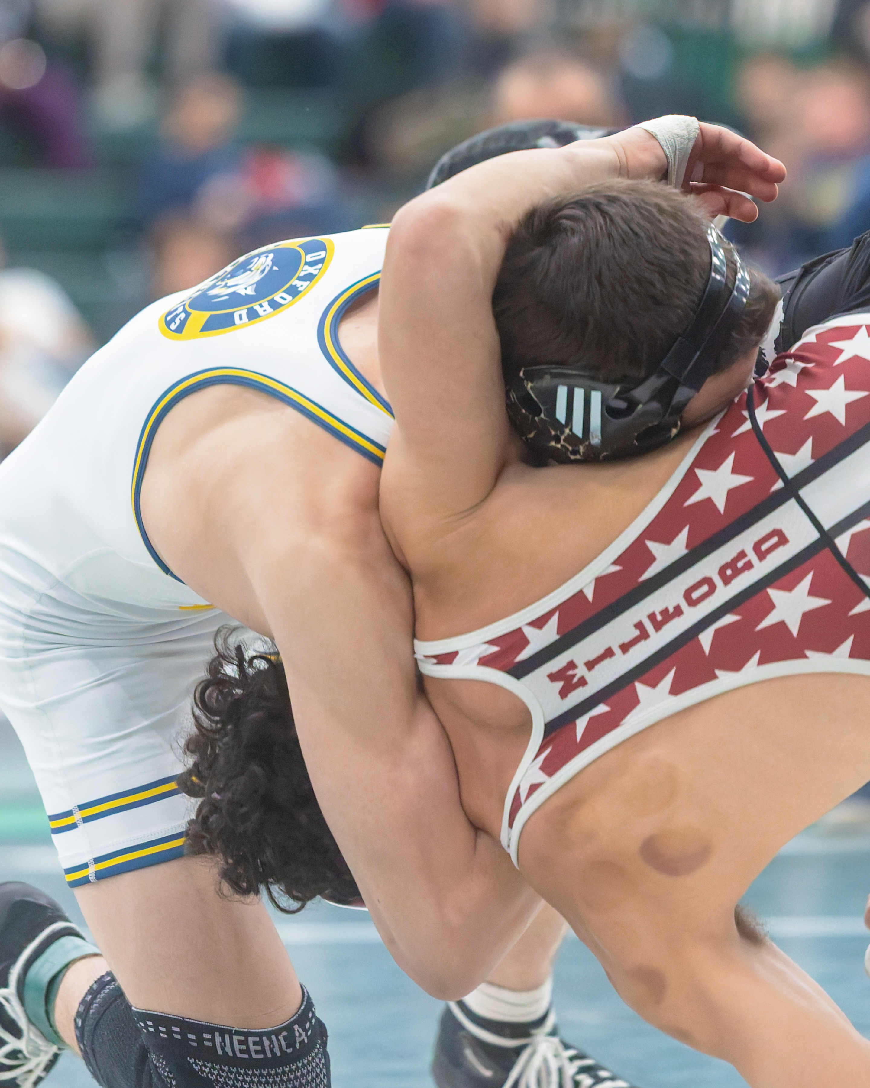 Lake Orion hosted the 2025 Oakland County wrestling championships on...