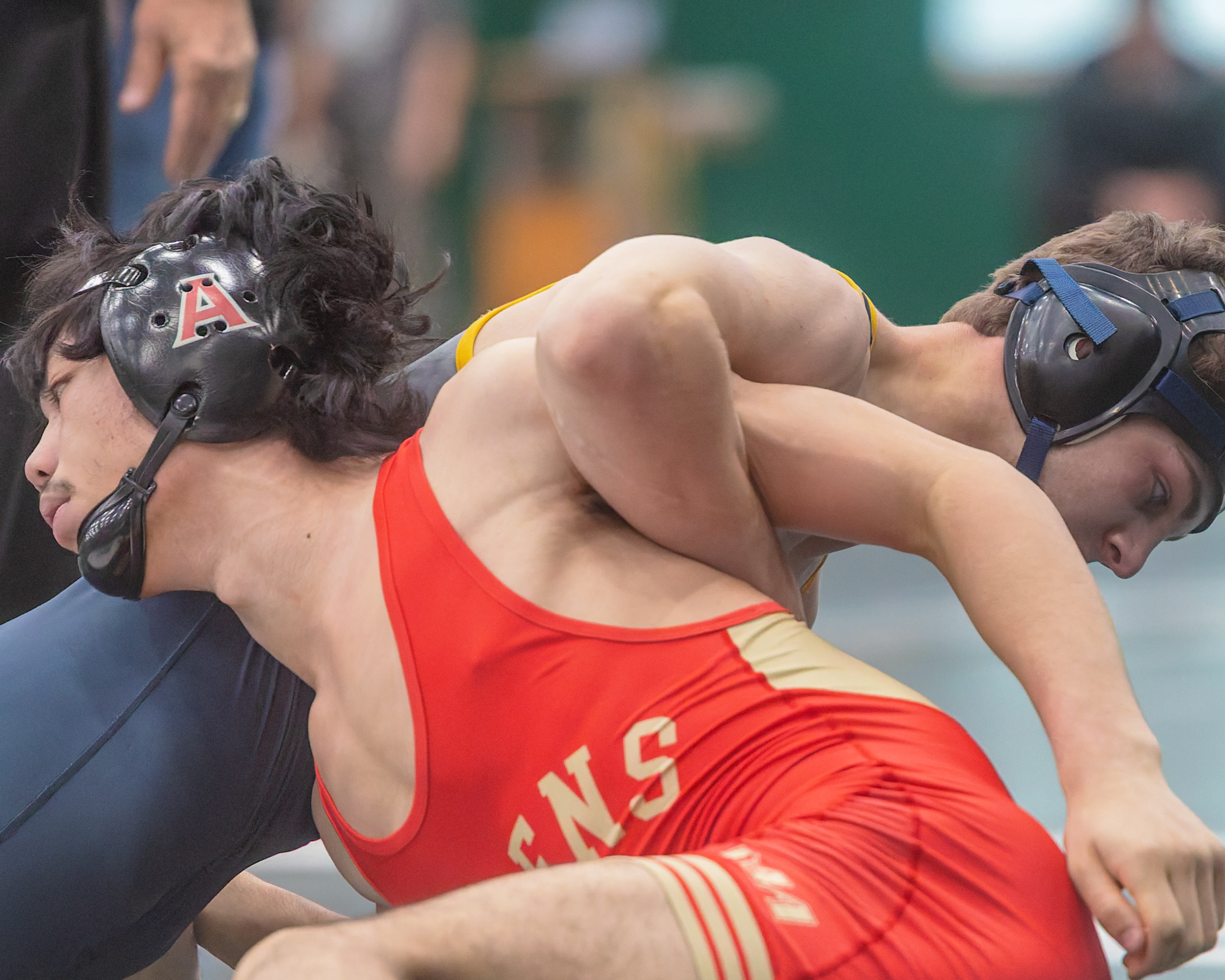 Lake Orion hosted the 2025 Oakland County wrestling championships on...