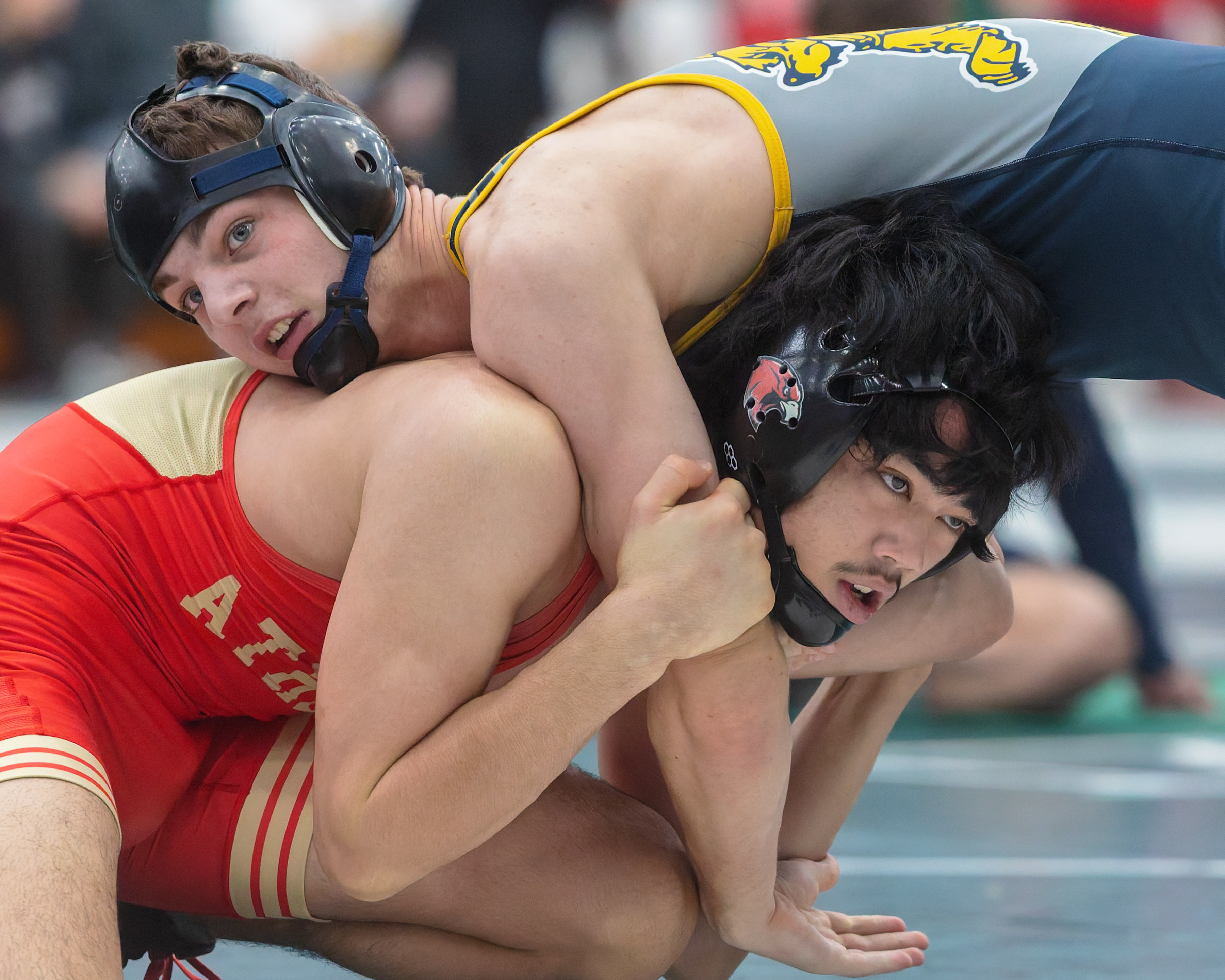 Lake Orion hosted the 2025 Oakland County wrestling championships on...