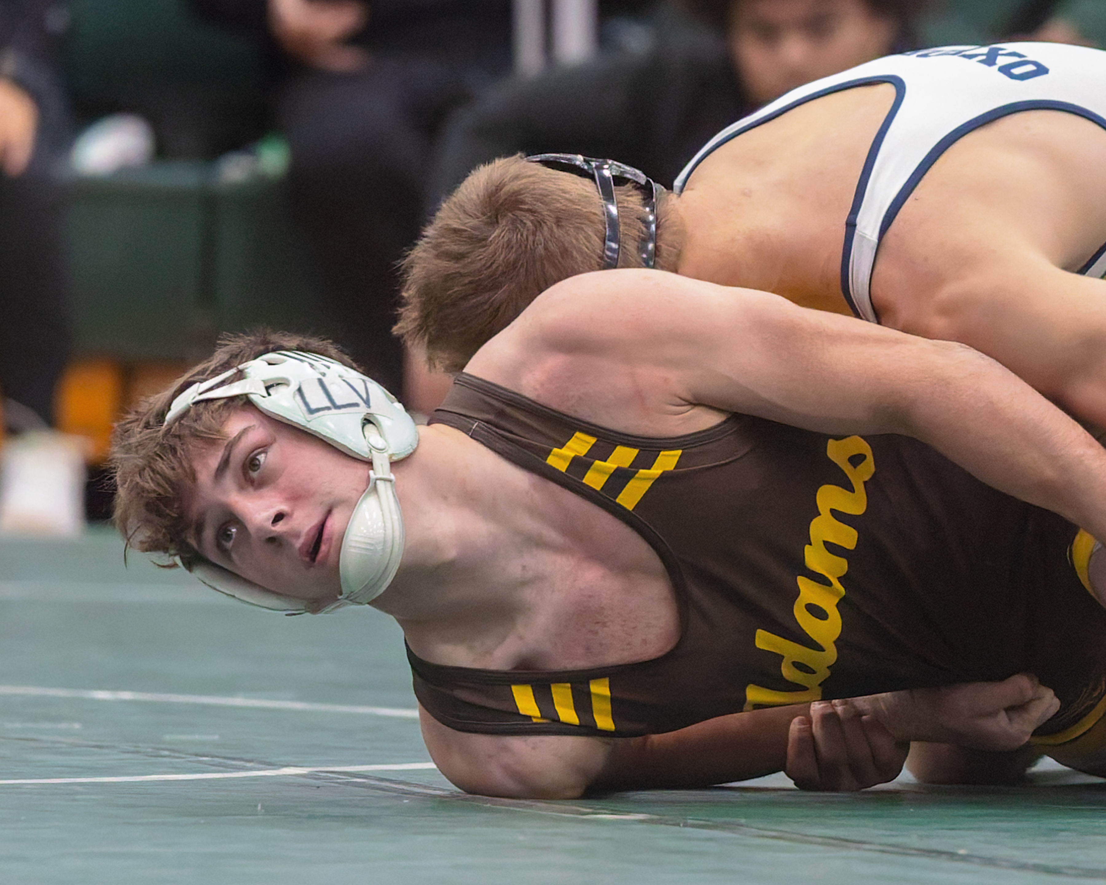 Lake Orion hosted the 2025 Oakland County wrestling championships on...