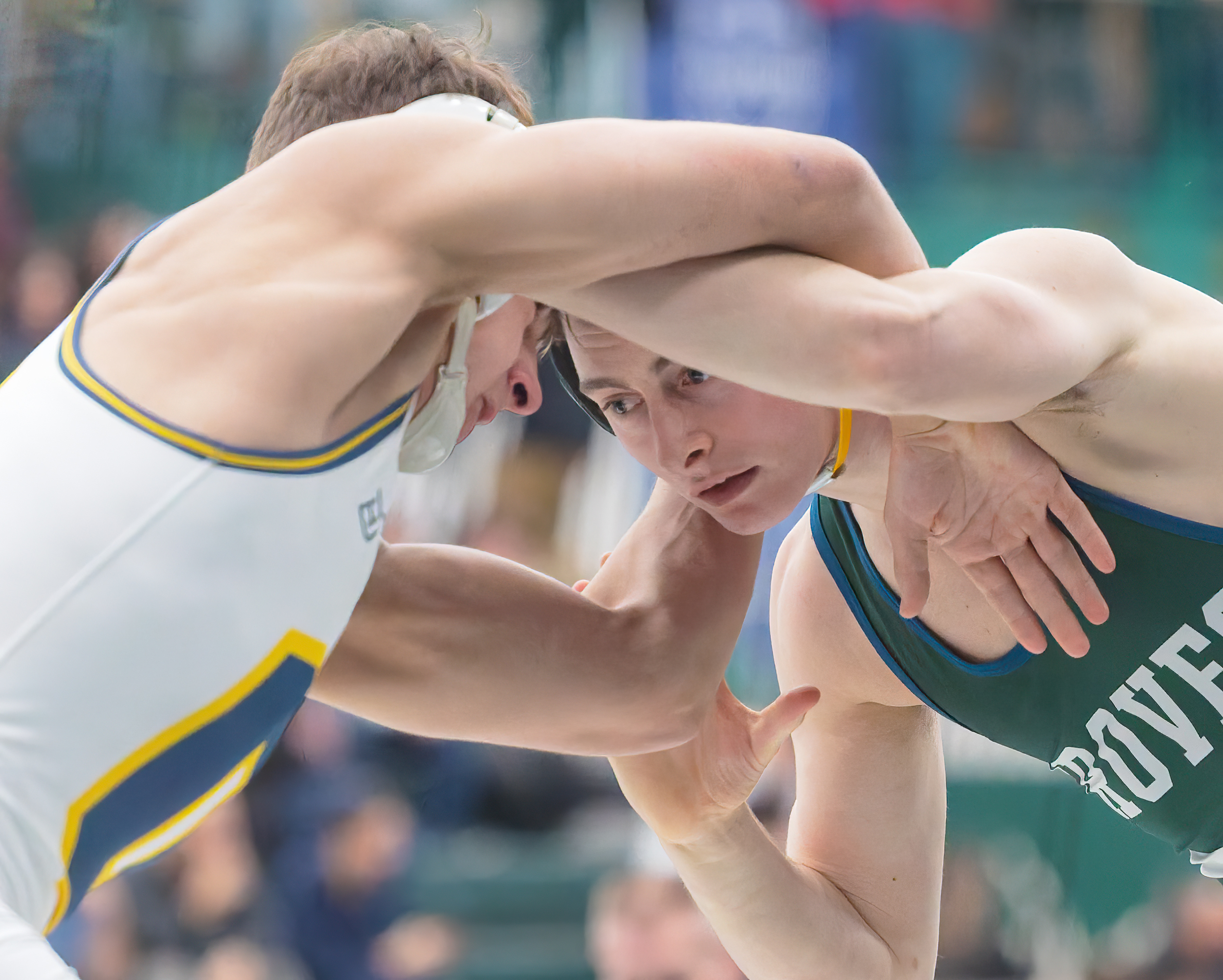 Lake Orion hosted the 2025 Oakland County wrestling championships on...