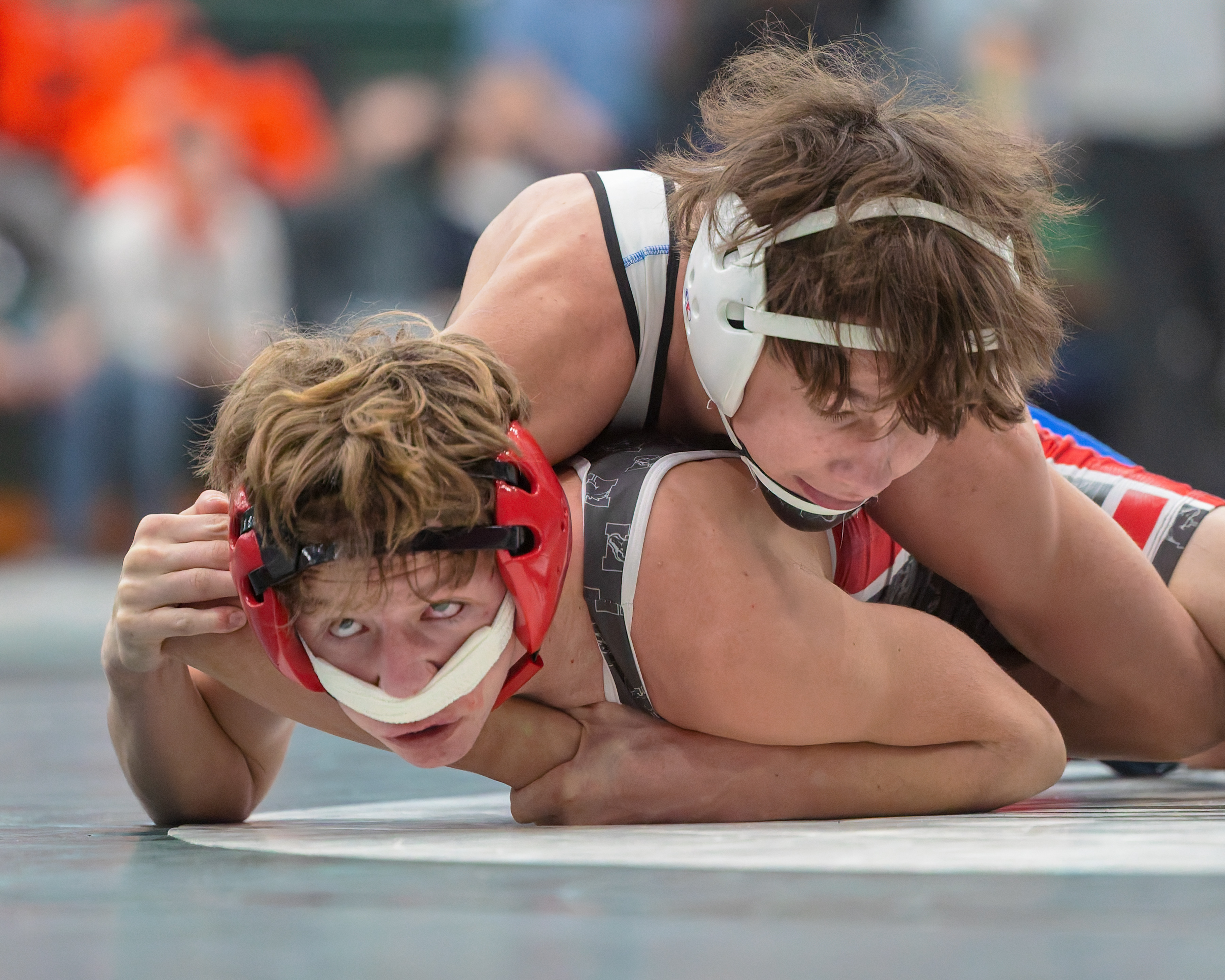Lake Orion hosted the 2025 Oakland County wrestling championships on...