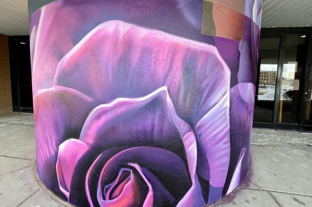 close up of purple flower painting