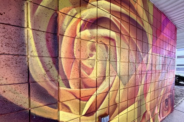 close up of painted rose