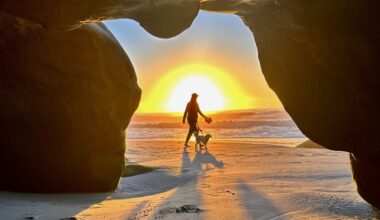 Looking at La Jolla through our readers’ eyes – San Diego Union-Tribune