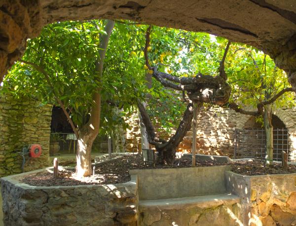 Forestiere Courtyard