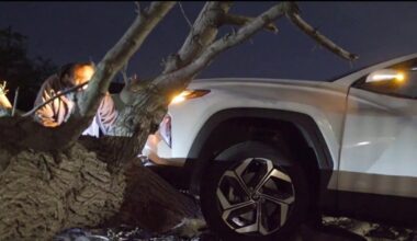 Powerful winds topple trees, damage neighborhoods across LA – NBC Los Angeles
