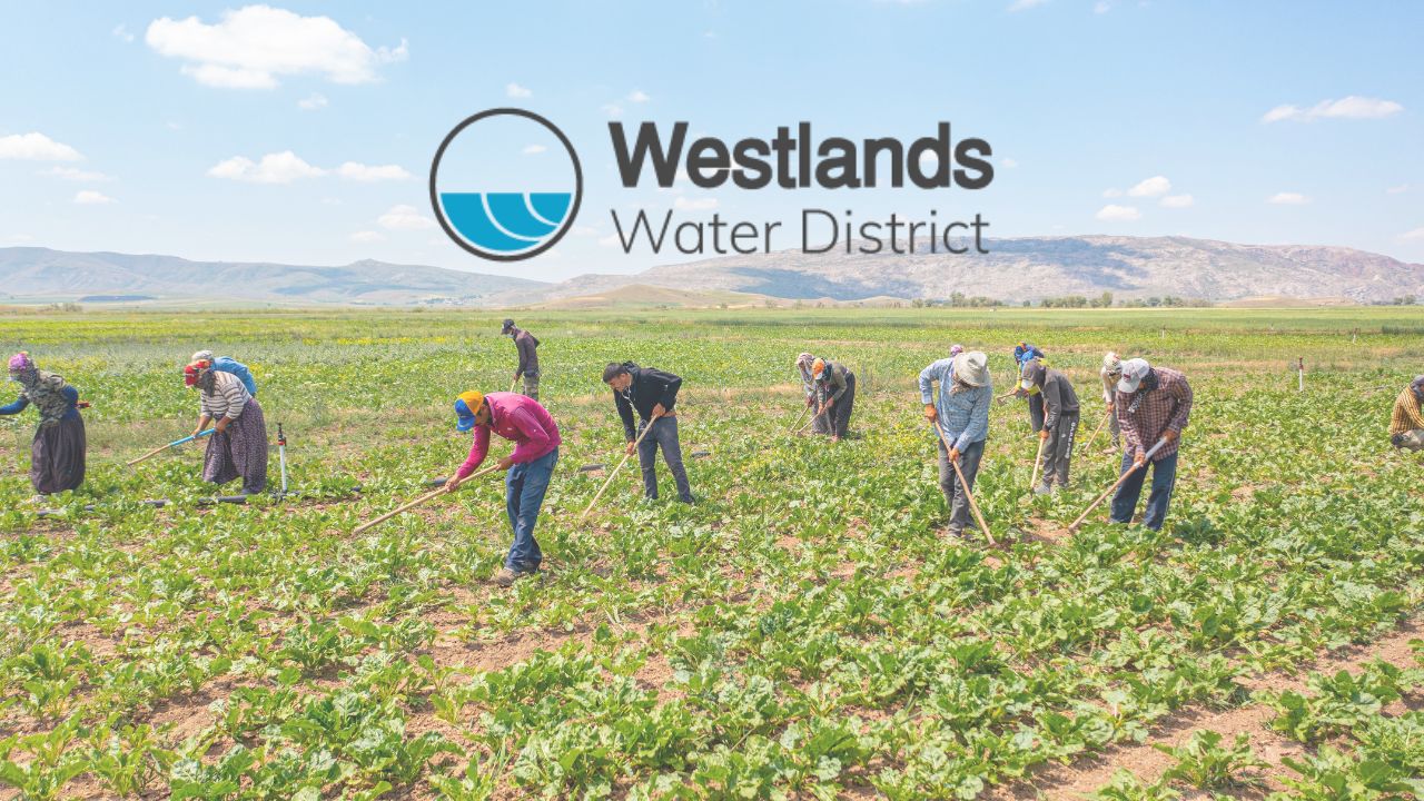 Westlands Study Captures Bad Water Year Impact: Lost Jobs and Revenue, More Valley Fever