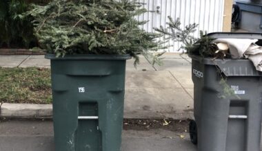 Christmas tree recycling options in Coronado